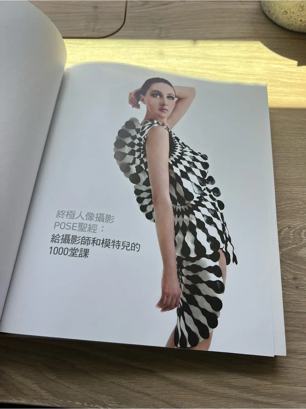 Photographing Models 1000 Poses Eliot Siegel Chinese Edition Photography Book